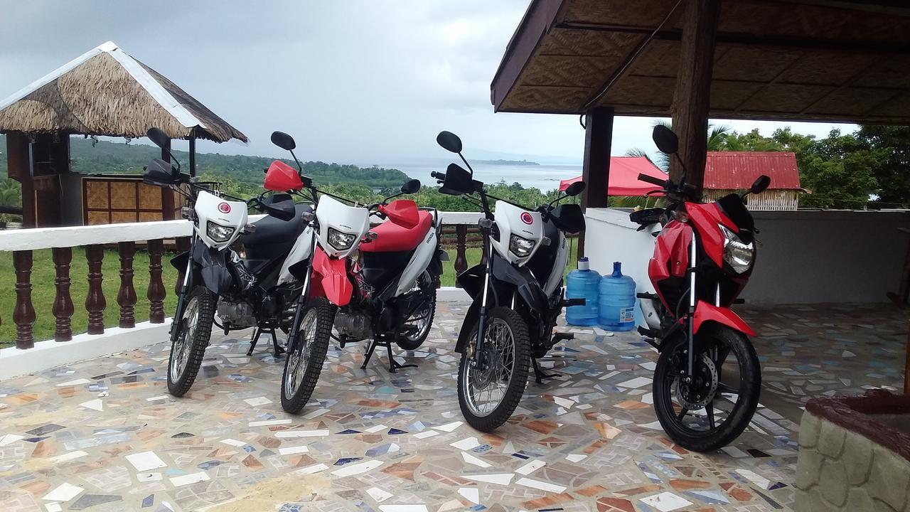 Overview Hostel Loon المظهر الخارجي الصورة