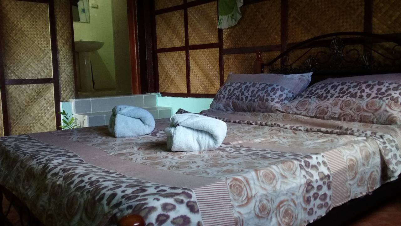Overview Hostel Loon المظهر الخارجي الصورة