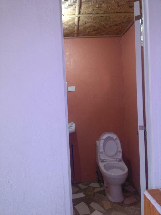 Overview Hostel Loon المظهر الخارجي الصورة