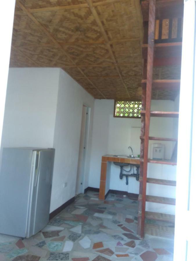 Overview Hostel Loon المظهر الخارجي الصورة
