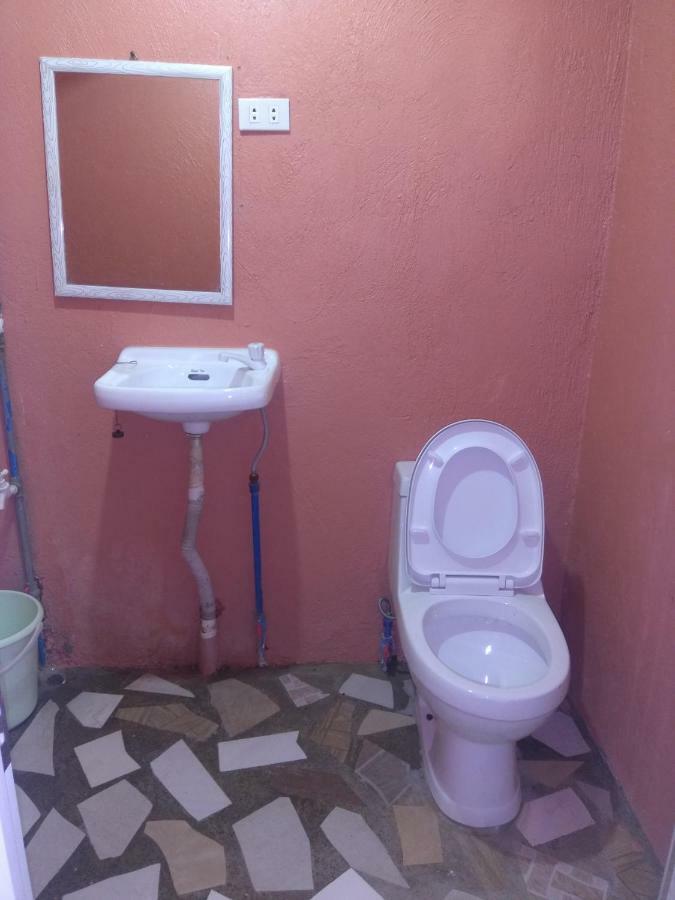Overview Hostel Loon المظهر الخارجي الصورة